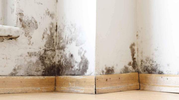 Traitement anti-humidité des murs Normandie